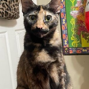 Meet your Posher, Jaz